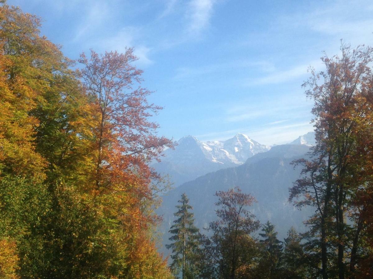 App. Seeblick Top Of Interlaken Beatenberg Exterior foto