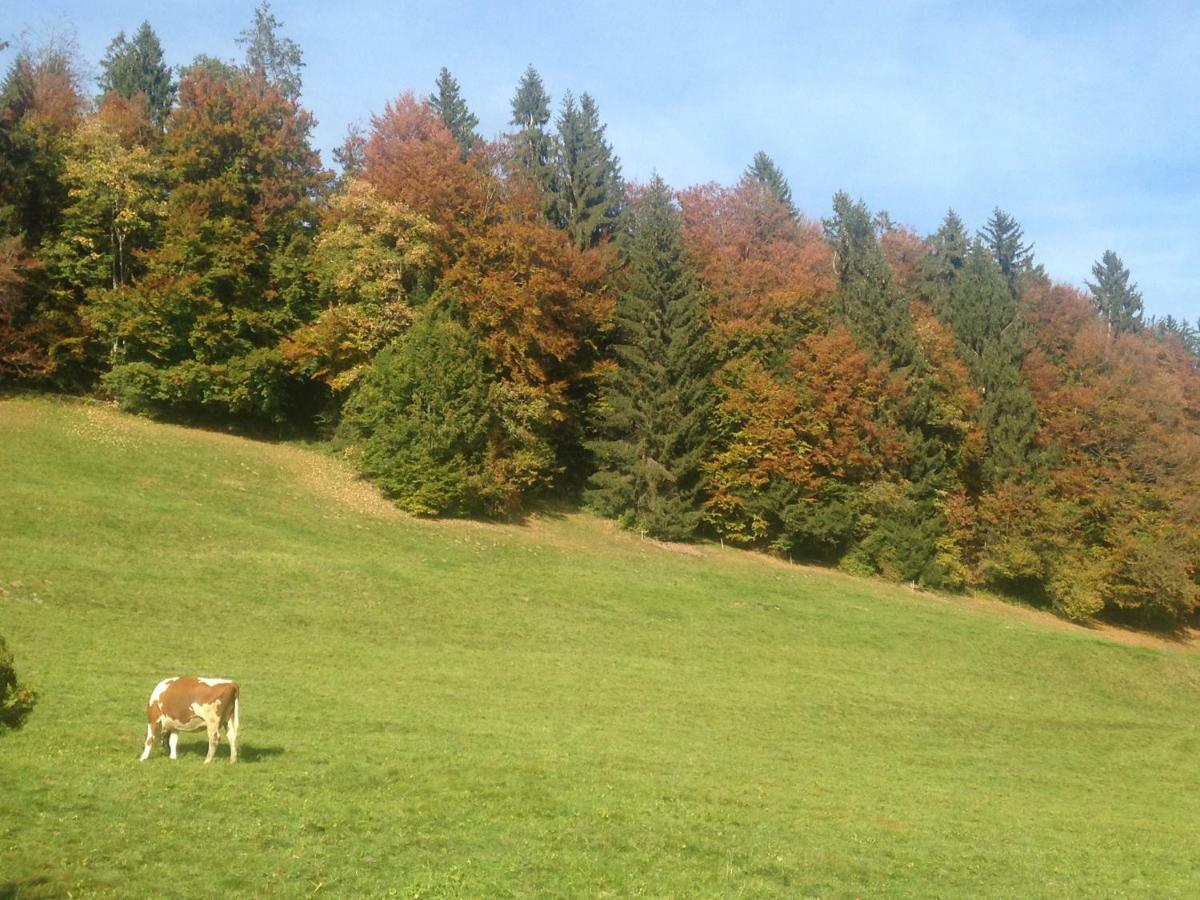 App. Seeblick Top Of Interlaken Beatenberg Exterior foto